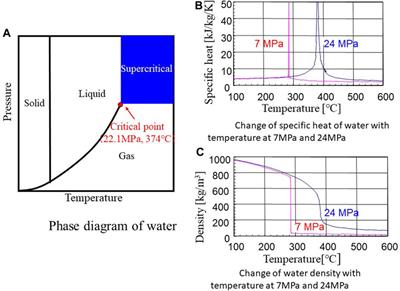 Review of SCWR research in Japan